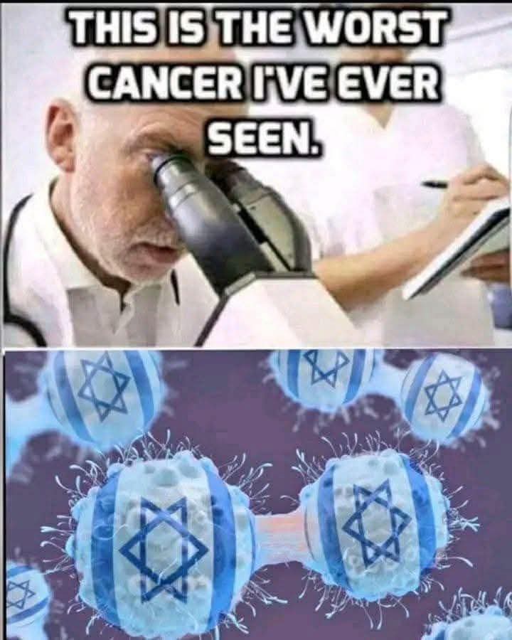 1000008563.jpg