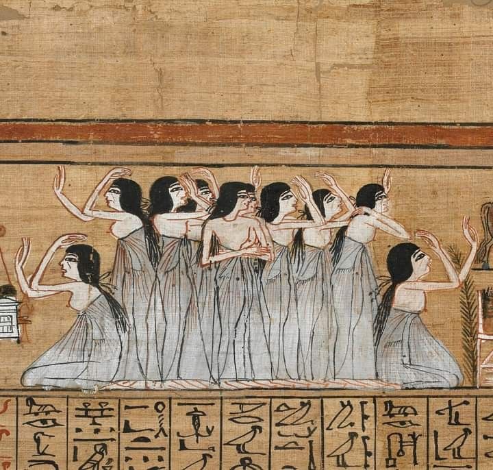 1761913274501.jpeg 1761913274501.jpeg