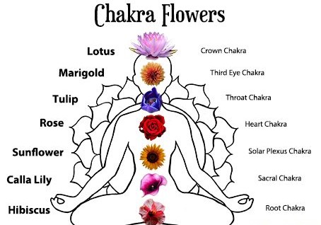 Chakra-Flowers.jpg