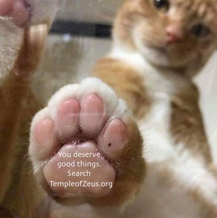 Gky4QXFWwAEh_q1.jpeg