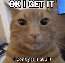 images (11).jpeg