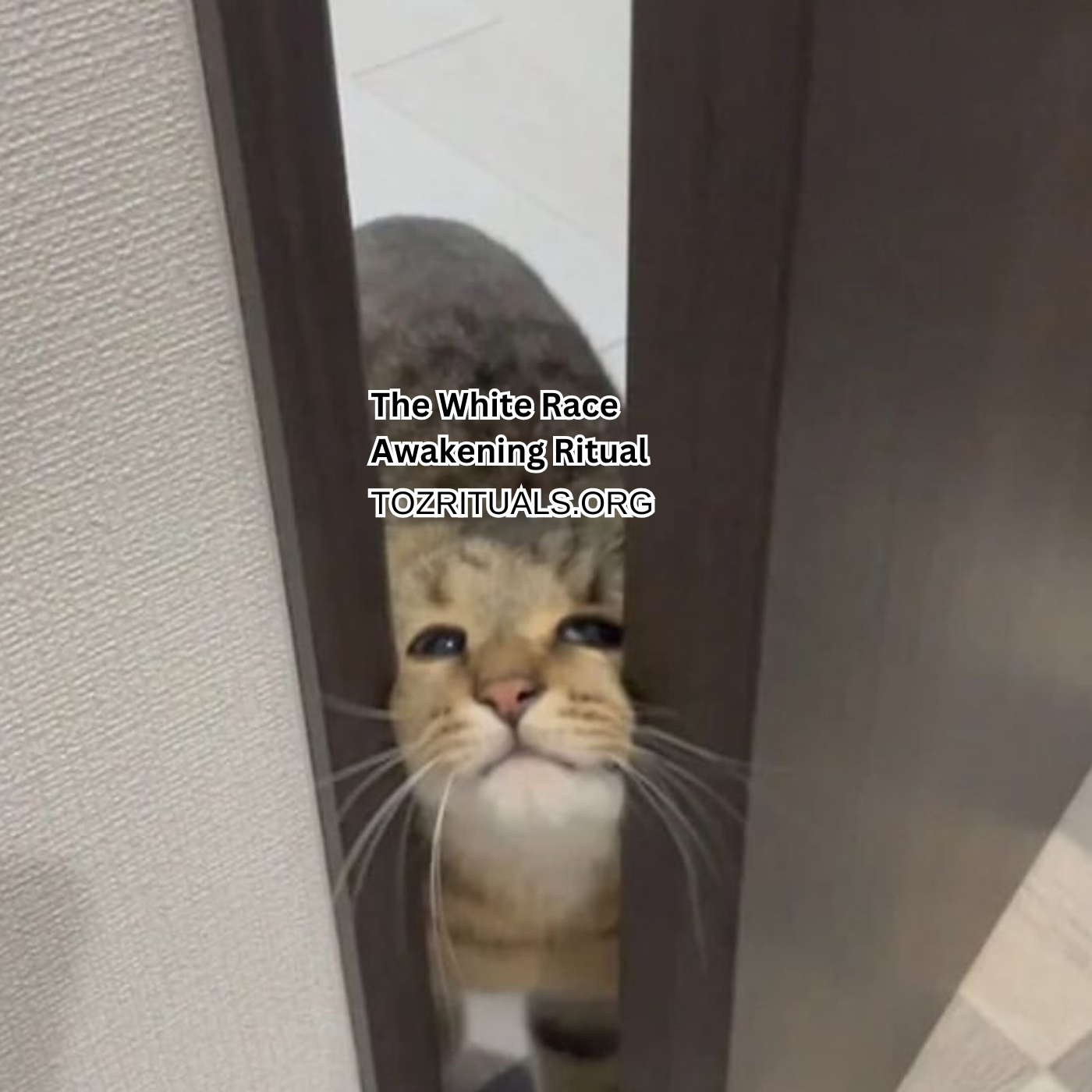 To.png