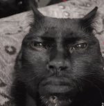 r.jpeg
