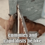 bark.gif