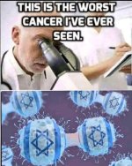 1000008563.jpg