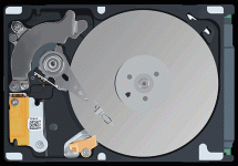 f5b76d25354853.563442dd80a13.gif