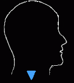 THROAT_ALIGN[1].gif