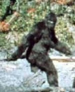 Bigfoot.jpg