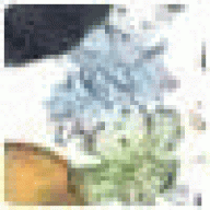 agrohimswt