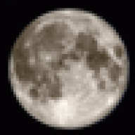 Antoniopvx