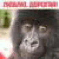 agrohimyrm
