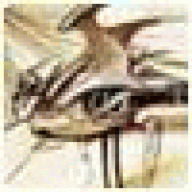 Pavlosnwi