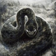 Fate Serpent