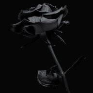 Black Rose Order
