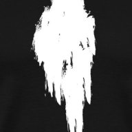 Corvus albus