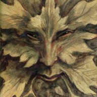 Mushroomshaman22