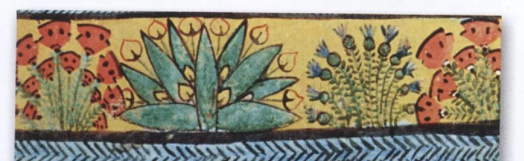 CentaureaCyanus.png