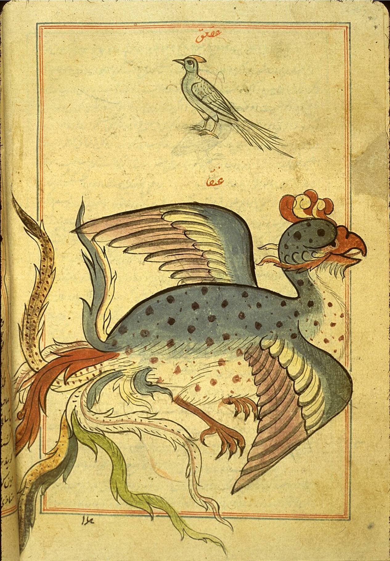 Anqa.jpg