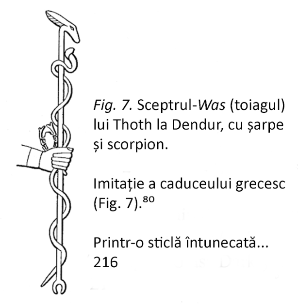 e_img6.png