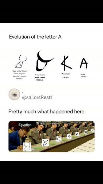 images-38.jpeg