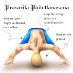 Prasarita Padottanasana.png