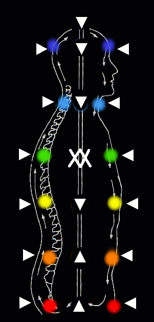 1744034270890.png